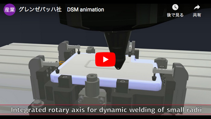 DSM animation